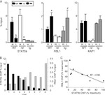 STAT5 beta Antibody in Western Blot, ChIP Assay (WB, ChIP)