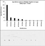 H3K27me1 Antibody in Peptide array (ARRAY)