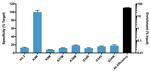 H3.3 K4M oncohistone mutant Antibody