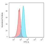 p53 Tumor Suppressor Protein Antibody in Flow Cytometry (Flow)