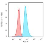 p53 (Tumor Suppressor Protein) Antibody in Flow Cytometry (Flow)