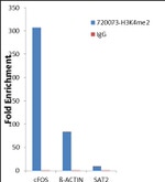 H3K4me2 Antibody