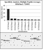 H3K9me2 Antibody