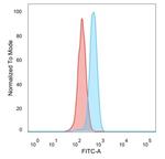 UBE3A/E6-AP Antibody in Flow Cytometry (Flow)