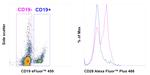 CD28 Antibody