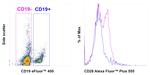 CD28 Antibody