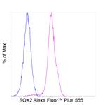 SOX2 Antibody in Flow Cytometry (Flow)