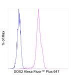 SOX2 Antibody in Flow Cytometry (Flow)