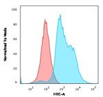 ZAP70 (Chronic Lymphocytic Leukemia Marker) Antibody in Flow Cytometry (Flow)