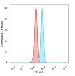 ZNF202 Antibody in Flow Cytometry (Flow)