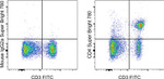 CD4 Antibody in Flow Cytometry (Flow)