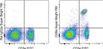 CD8a Antibody in Flow Cytometry (Flow)