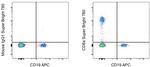 CD8a Antibody in Flow Cytometry (Flow)