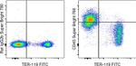 CD45 Antibody in Flow Cytometry (Flow)