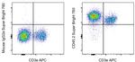 CD45.2 Antibody in Flow Cytometry (Flow)