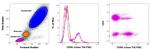 CD56 (NCAM) Antibody in Flow Cytometry (Flow)