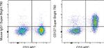 CD127 Antibody in Flow Cytometry (Flow)