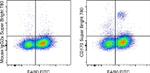 CD170 (Siglec F) Antibody in Flow Cytometry (Flow)