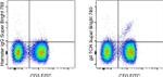 TCR gamma/delta Antibody in Flow Cytometry (Flow)