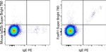 FceR1 alpha Antibody in Flow Cytometry (Flow)