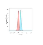 Nucleolar complex-associated protein 4-like protein (NOC4L) Antibody in Flow Cytometry (Flow)