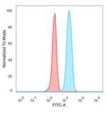 KDM5C Antibody in Flow Cytometry (Flow)