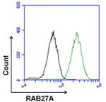 Mouse IgG (H+L) Secondary Antibody in Flow Cytometry (Flow)