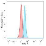 CBFB/PEBP2beta Antibody in Flow Cytometry (Flow)