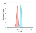 N myc (and STAT) Interactor/NMI Antibody in Flow Cytometry (Flow)