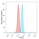 GCM2 Antibody in Flow Cytometry (Flow)