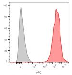 CD9 (TSPAN29) (Motility-Related Protein-1) Antibody in Flow Cytometry (Flow)