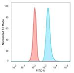 MED21/SRB7 Antibody in Flow Cytometry (Flow)