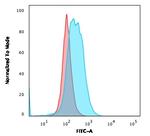 CD86 (Dendritic Cells Maturation Marker) Antibody in Flow Cytometry (Flow)