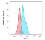 CD34 (Hematopoietic Stem Cell and Endothelial Marker) Antibody in Flow Cytometry (Flow)