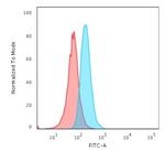 CD34 Antibody in Flow Cytometry (Flow)