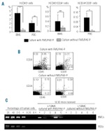 CD34 Antibody in Flow Cytometry (Flow)