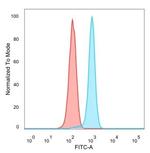 WTAP Antibody in Flow Cytometry (Flow)