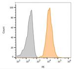 CD63 (Late Endosomes Marker) Antibody in Flow Cytometry (Flow)