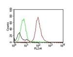 CD63 (Late Endosomes Marker) Antibody in Flow Cytometry (Flow)