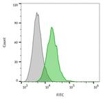 CD63 (Late Endosomes Marker) Antibody in Flow Cytometry (Flow)