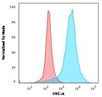 CD63 (Late Endosomes Marker) Antibody in Flow Cytometry (Flow)