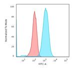 CD79a (B-Cell Marker) Antibody in Flow Cytometry (Flow)