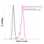 CD81/TAPA-1 Antibody