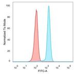 CDC5L Antibody in Flow Cytometry (Flow)