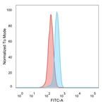 ZBTB39/ZNF922/KIAA0352 Antibody in Flow Cytometry (Flow)