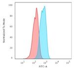 E-Cadherin (CDH1)/CD324 (Intercellular Junction Marker) Antibody in Flow Cytometry (Flow)