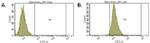 Goat IgG (H+L) Cross-Adsorbed Secondary Antibody in Flow Cytometry (Flow)