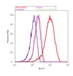 Mouse IgG (H+L) Cross-Adsorbed Secondary Antibody in Flow Cytometry (Flow)