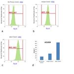 Mouse IgG (H+L) Cross-Adsorbed Secondary Antibody in Flow Cytometry (Flow)