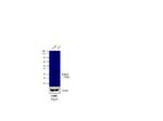 Rabbit IgG (H+L) Secondary Antibody in Western Blot (WB)